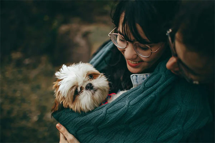 5 consigli essenziali per la sicurezza del cane sulle scale